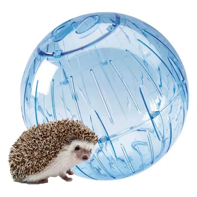 Juego Esfera Pvc para Erizo de 31cm Epe-50
