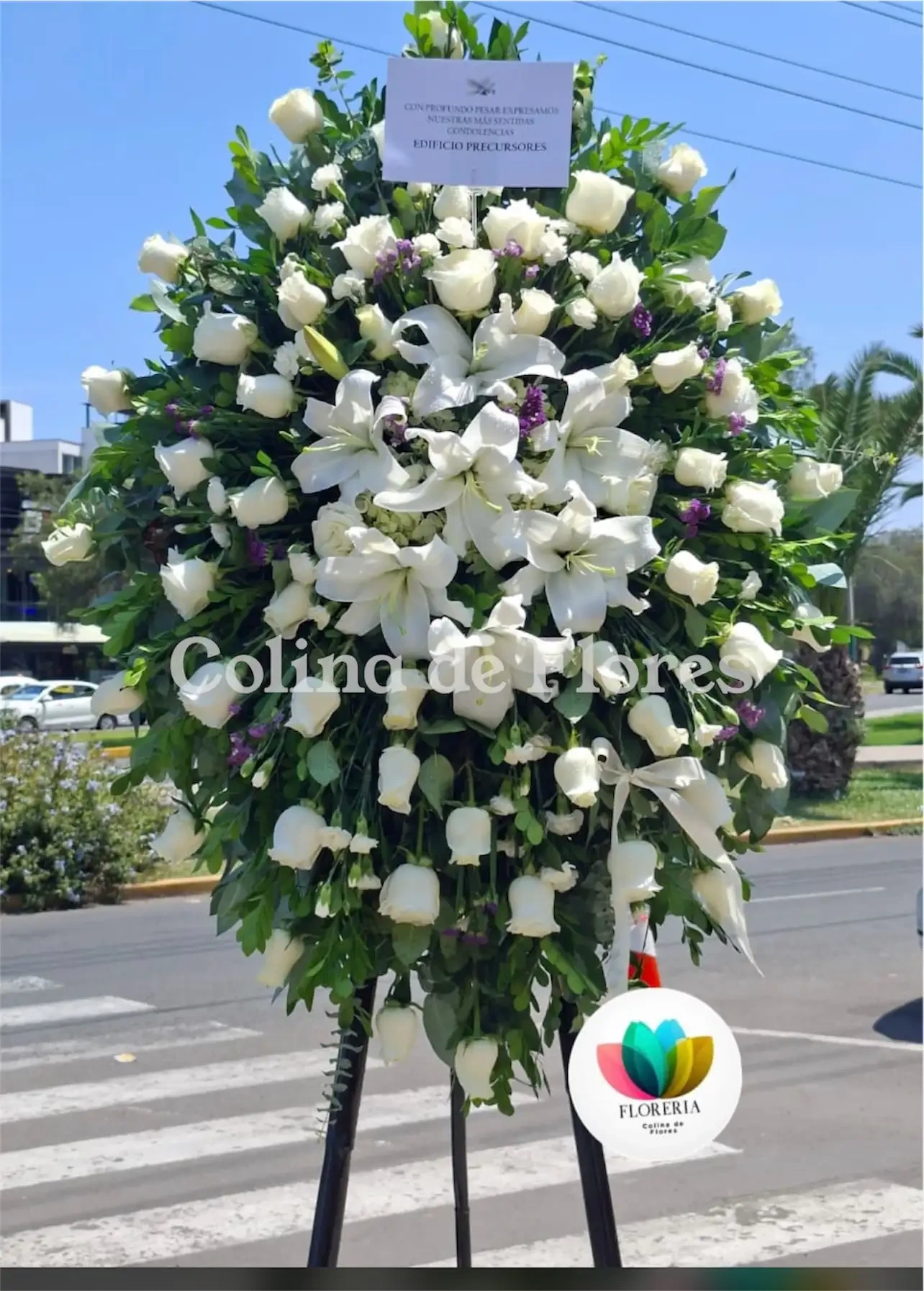 Tripo blanco