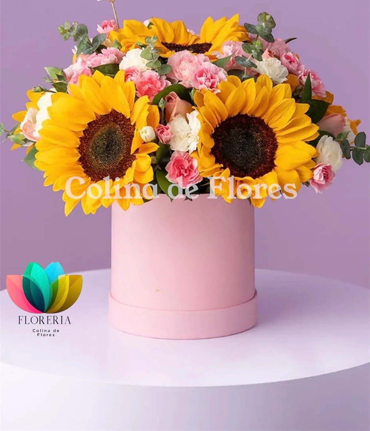 Box girasoles y claveles