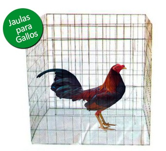 JAULAS GALLO
