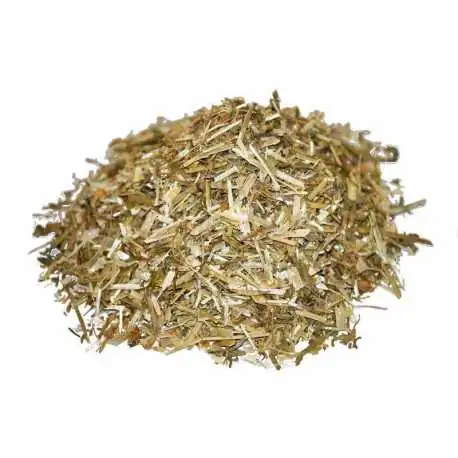 ERISIMO