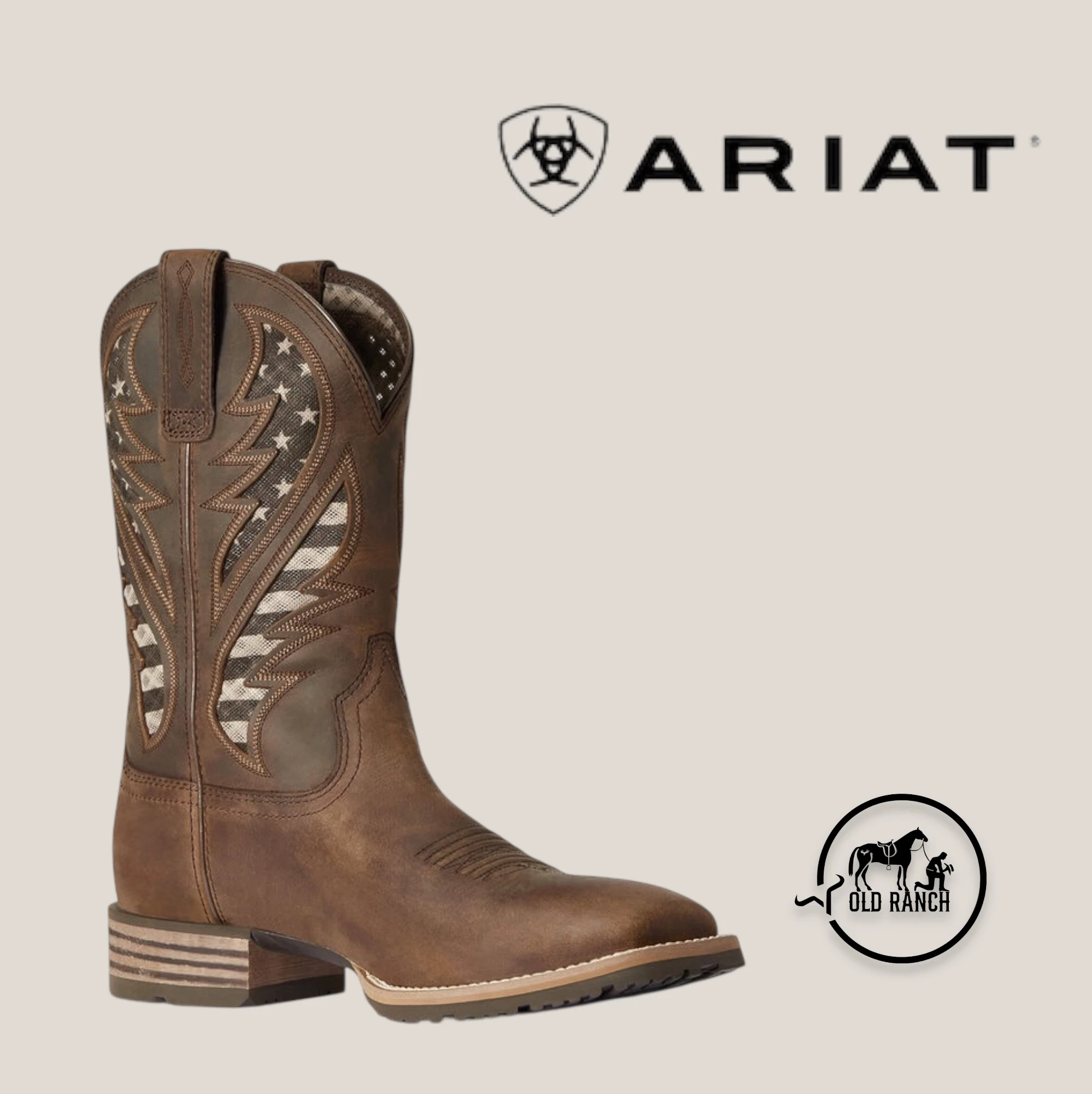 ARIAT 2