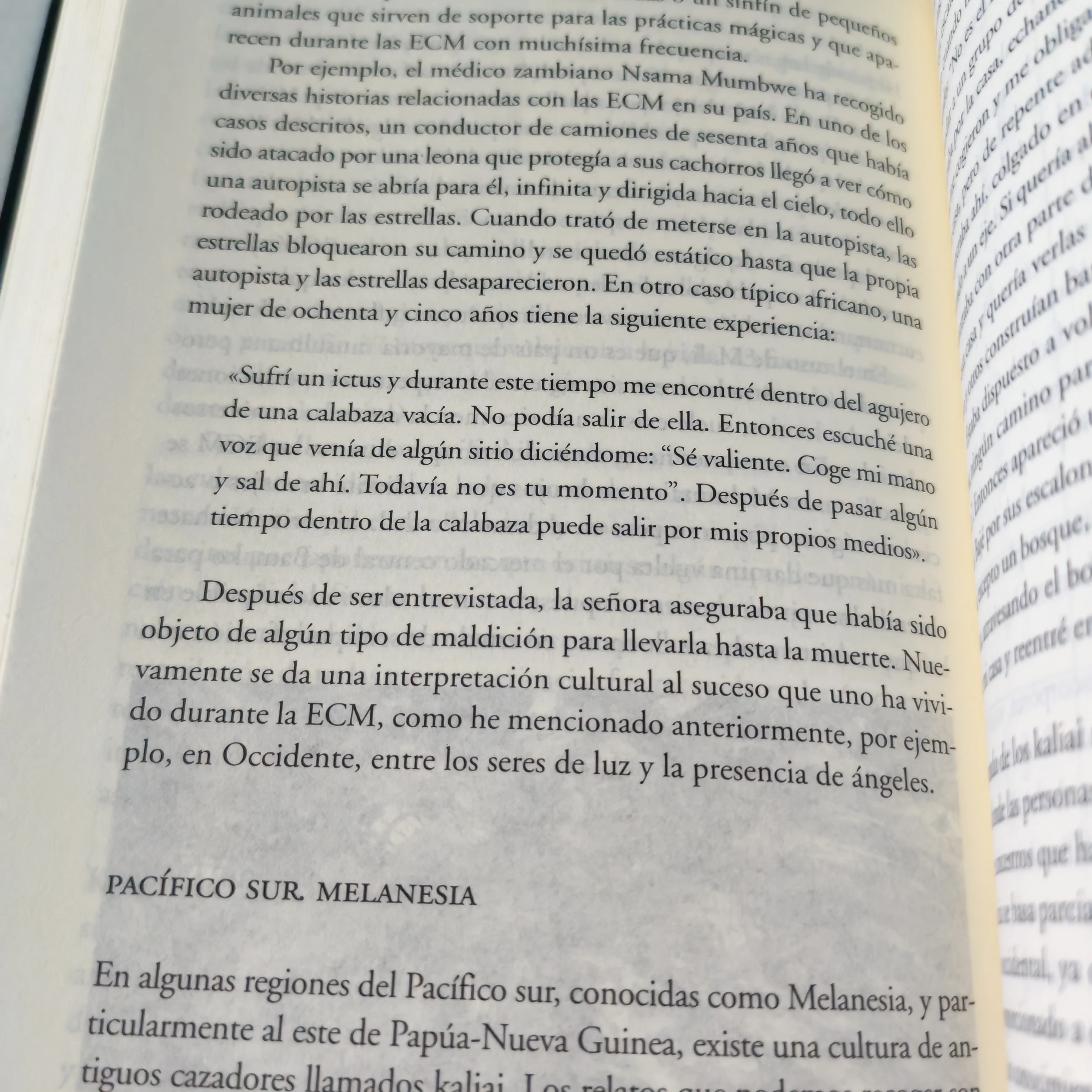 El límite , Jose Miguel Gaona, usado 3
