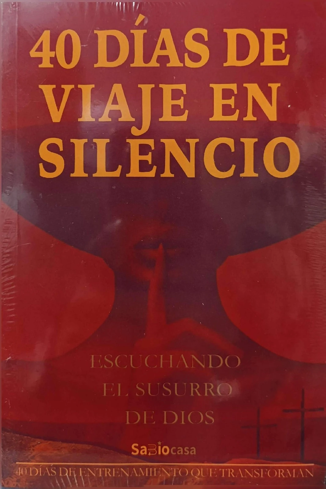 40 DIAS DE VIAJE EN SILENCIO 