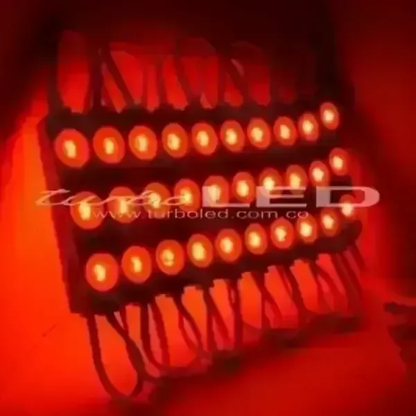 MODULO ECO LUPA 12V (103007)
