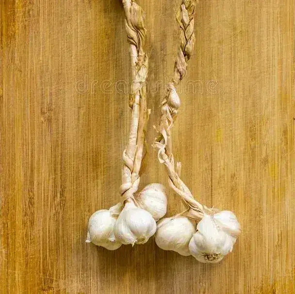 AJO/TRENZA
