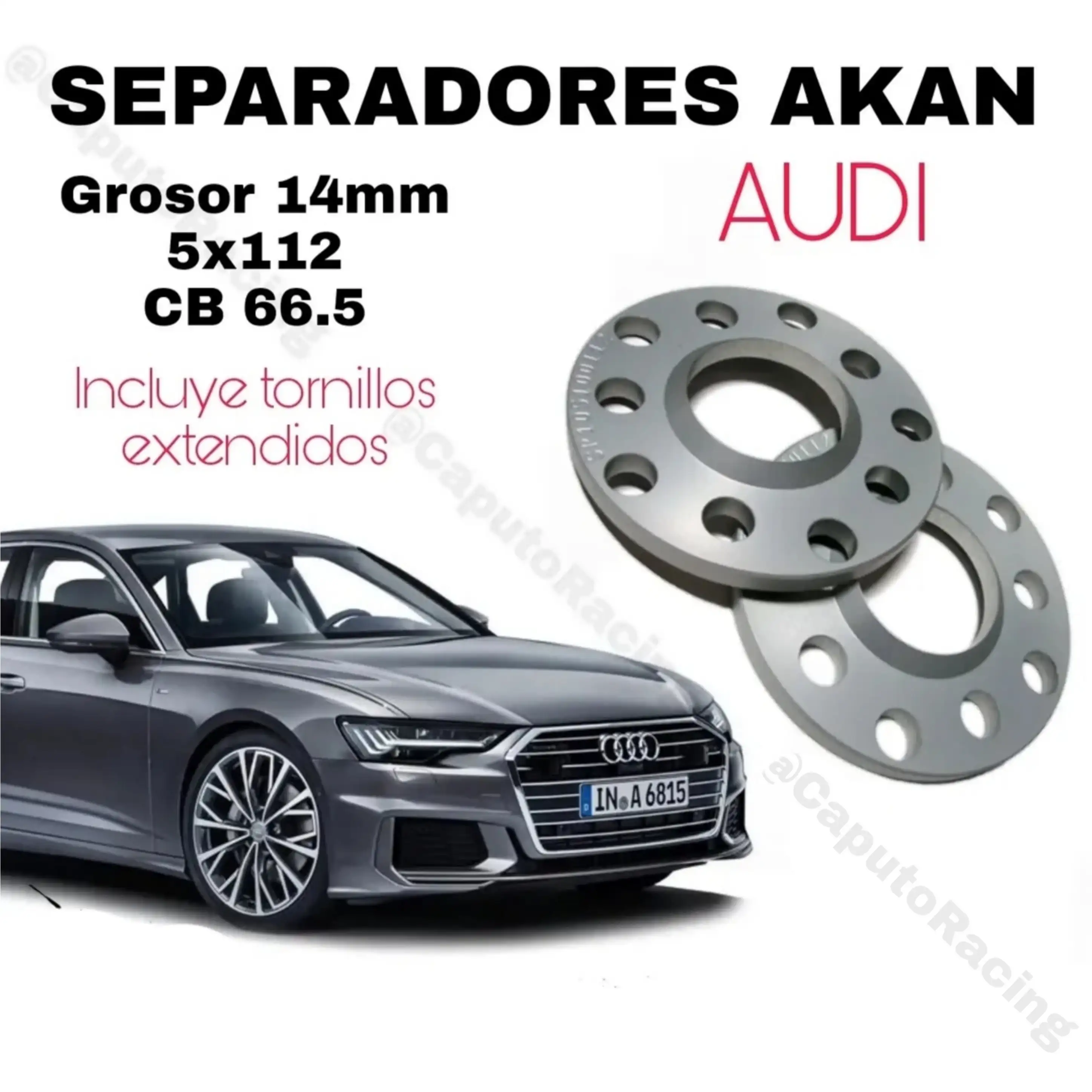 SEPARADORES AUDI