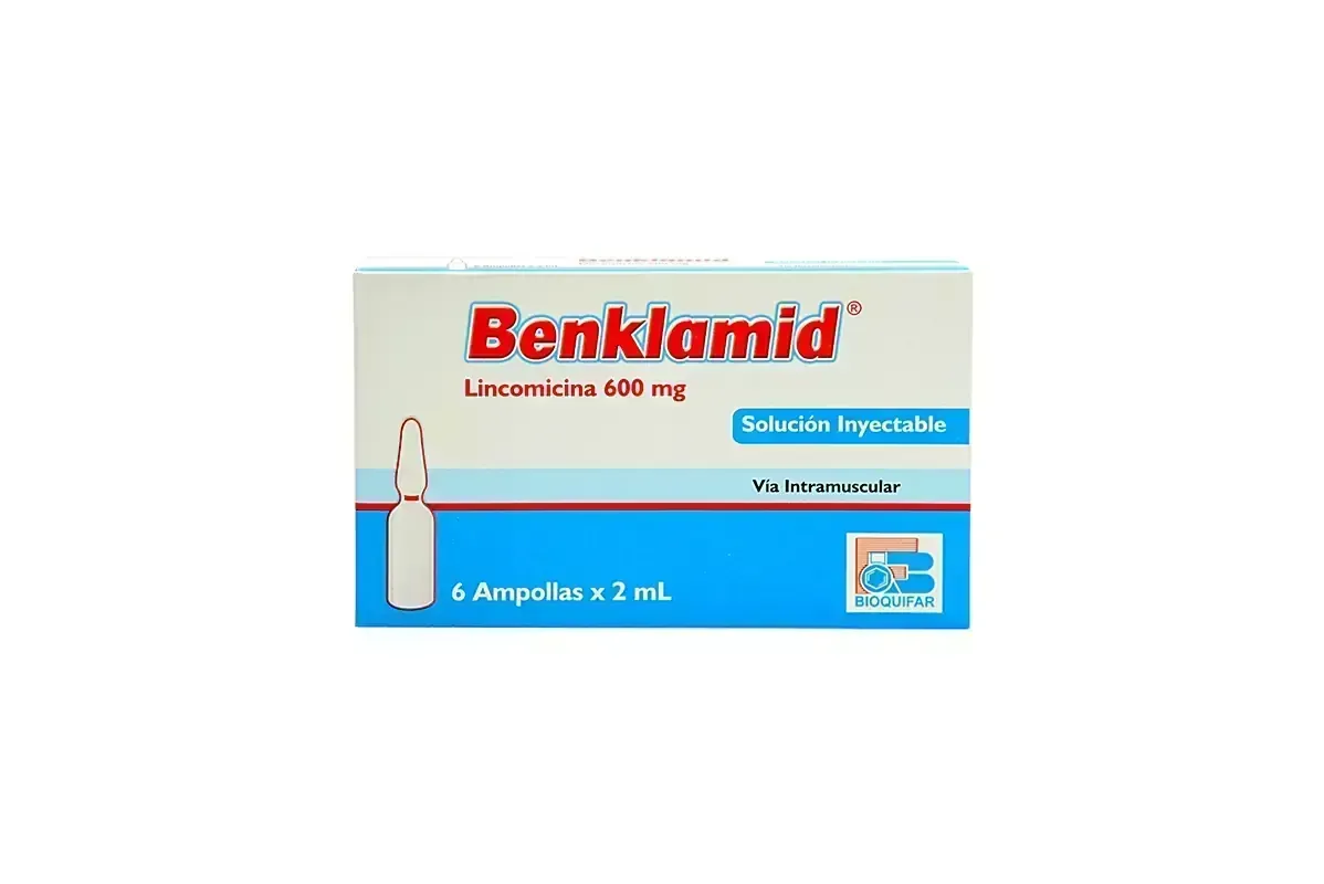 BENKLAMID AMP X 6