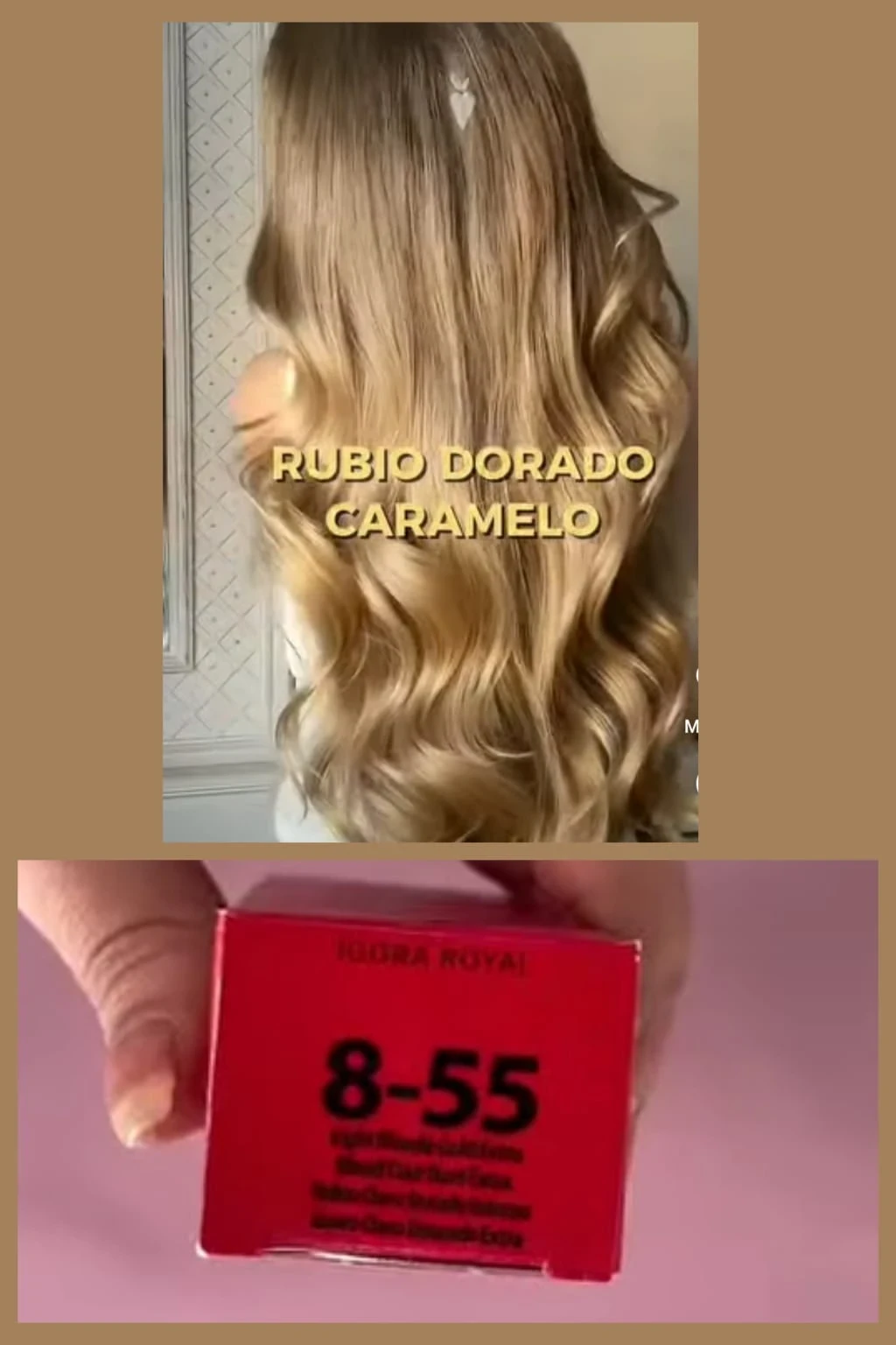 igora 8.55 rubio claro dorado intenso tinte