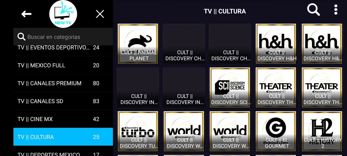SERVCIO MENSUAL DE TV POR INTERNET 6