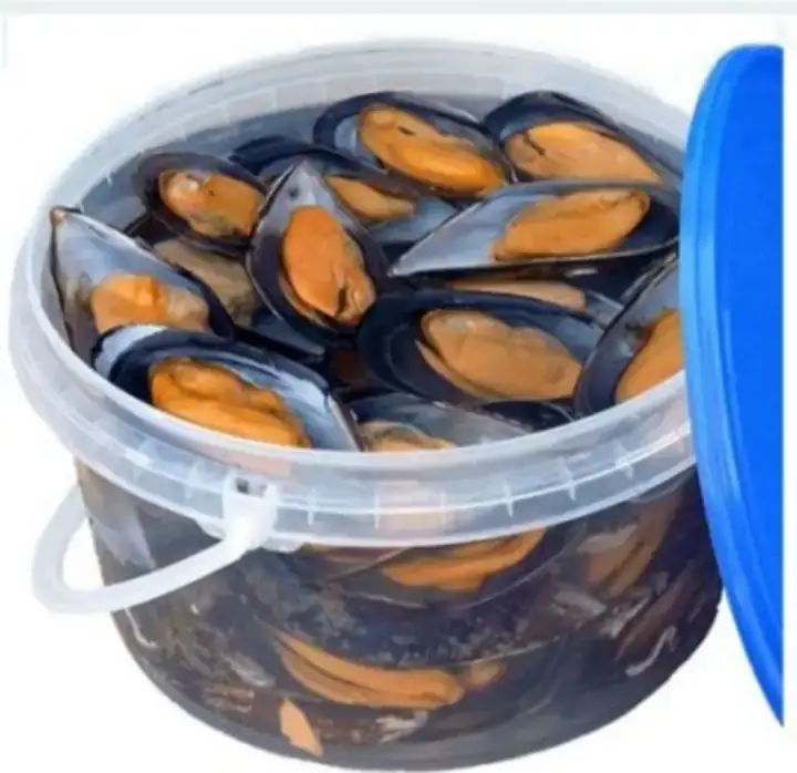 Mejillon Concha Rias Baixas