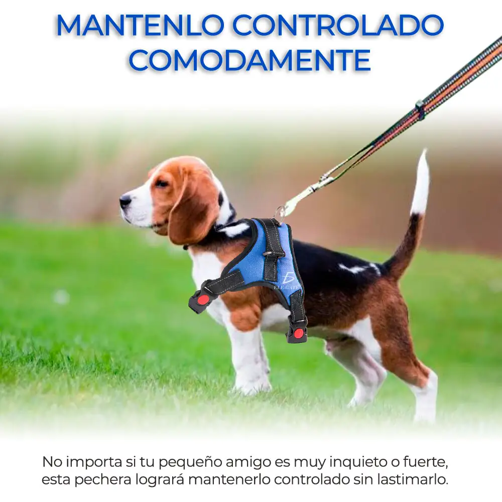 Pechera Arnes Para Mascotas Ajustable 