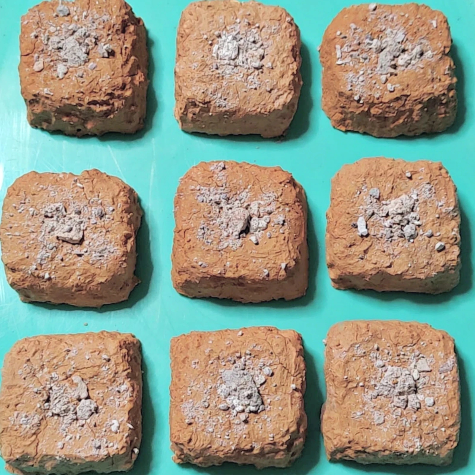 Bocadito de barro (1 pz) 2