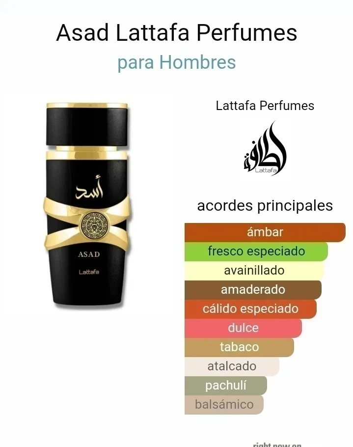 Asad Lattafa Perfumes 