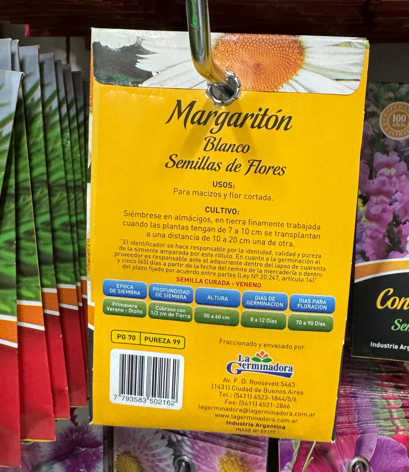 Margariton semillas de flor  2