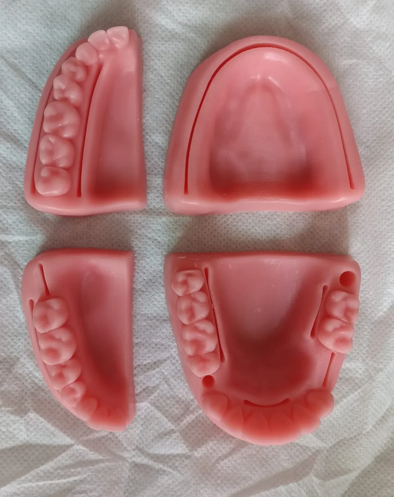 MODELO DE ENCÍAS PARA PRACTICA DE SUTURA