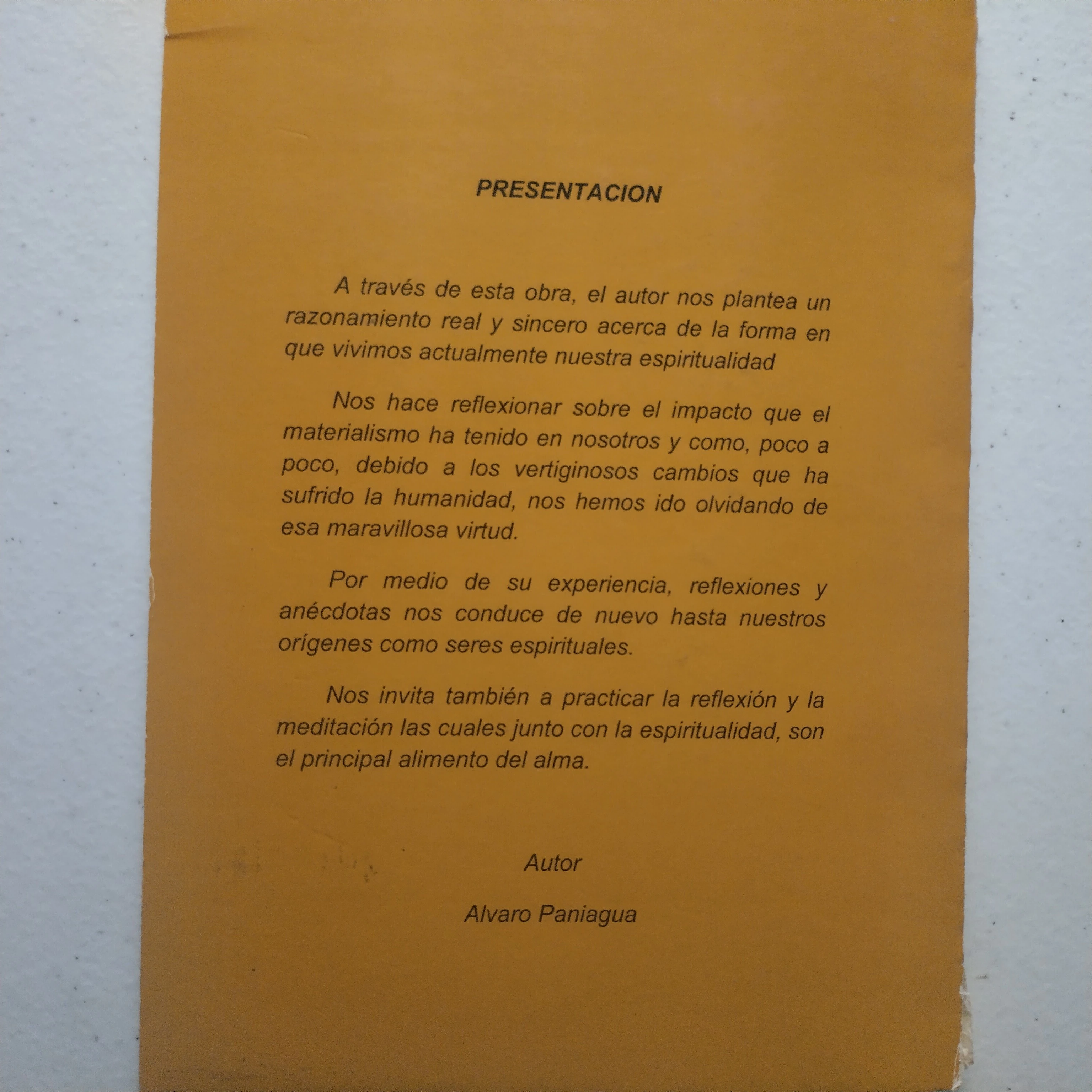 Espiritualidad, reflexión y meditación como pilares de nuestra vida, Álvaro Paniagua 2