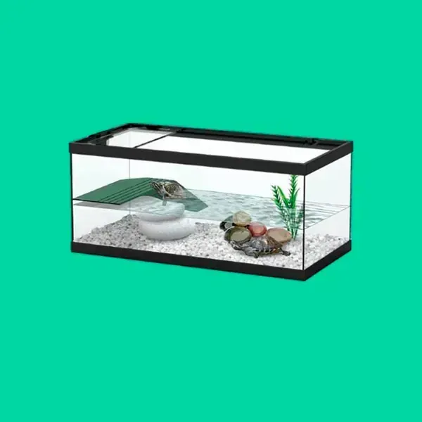 TORTUGUERO ACUATERRARIO