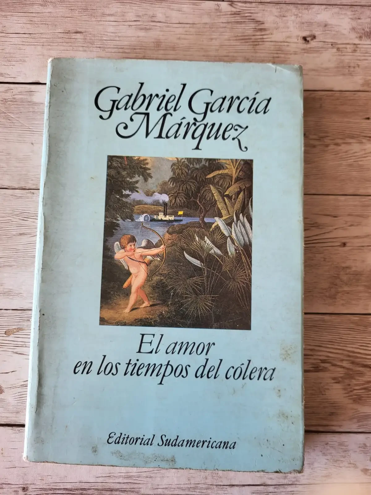  El amor en los tiempos del cólera / Gabriel García Márquez / Romance