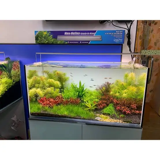 LAMPARA AQUANICE  4 COLORES DE 60 A 80 cm 3