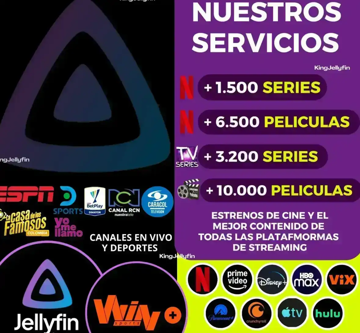 Jellyfin Sin TV: 1 Pantalla