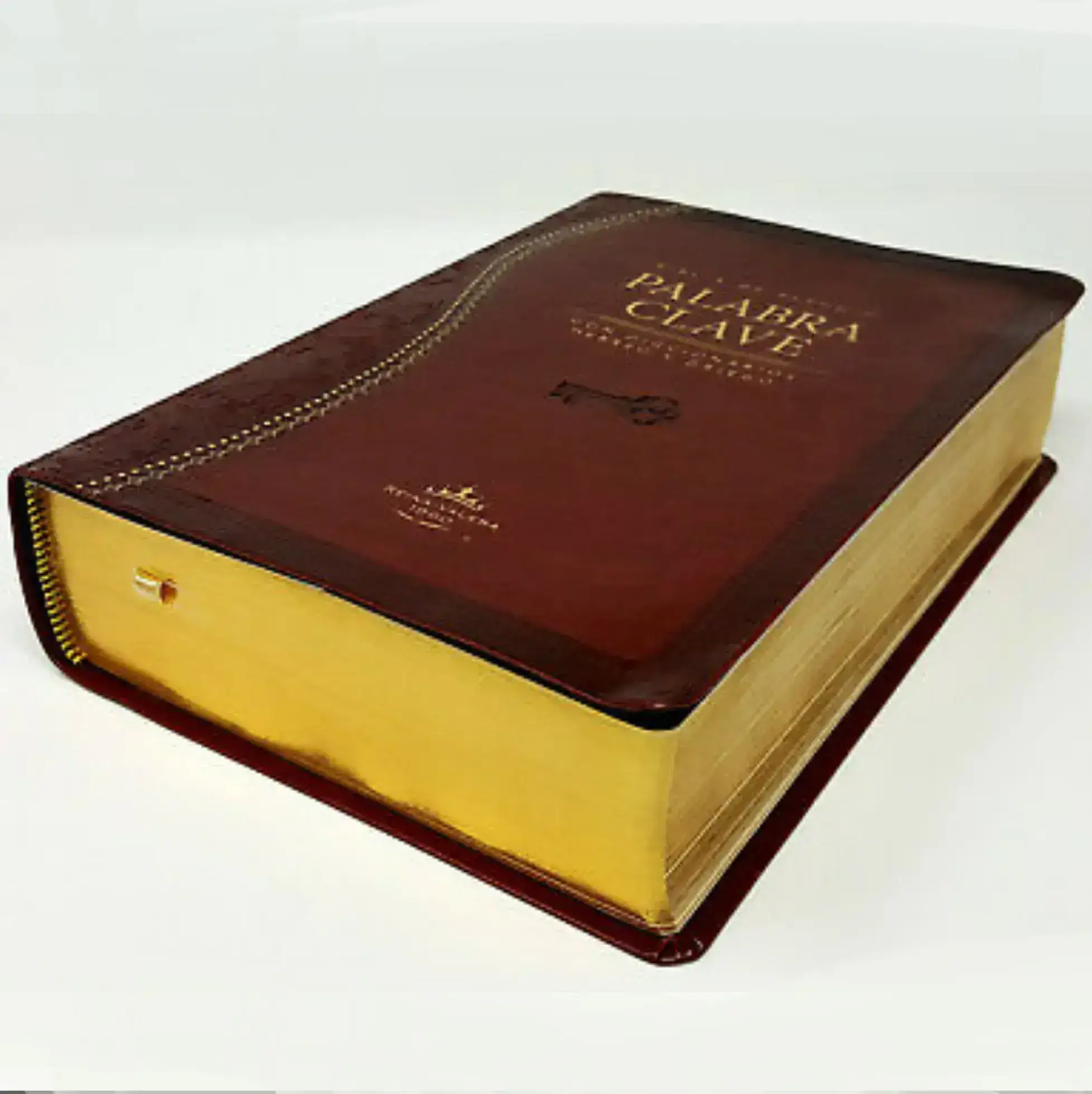 Biblia de Estudio Palabra Clave RVR60 2