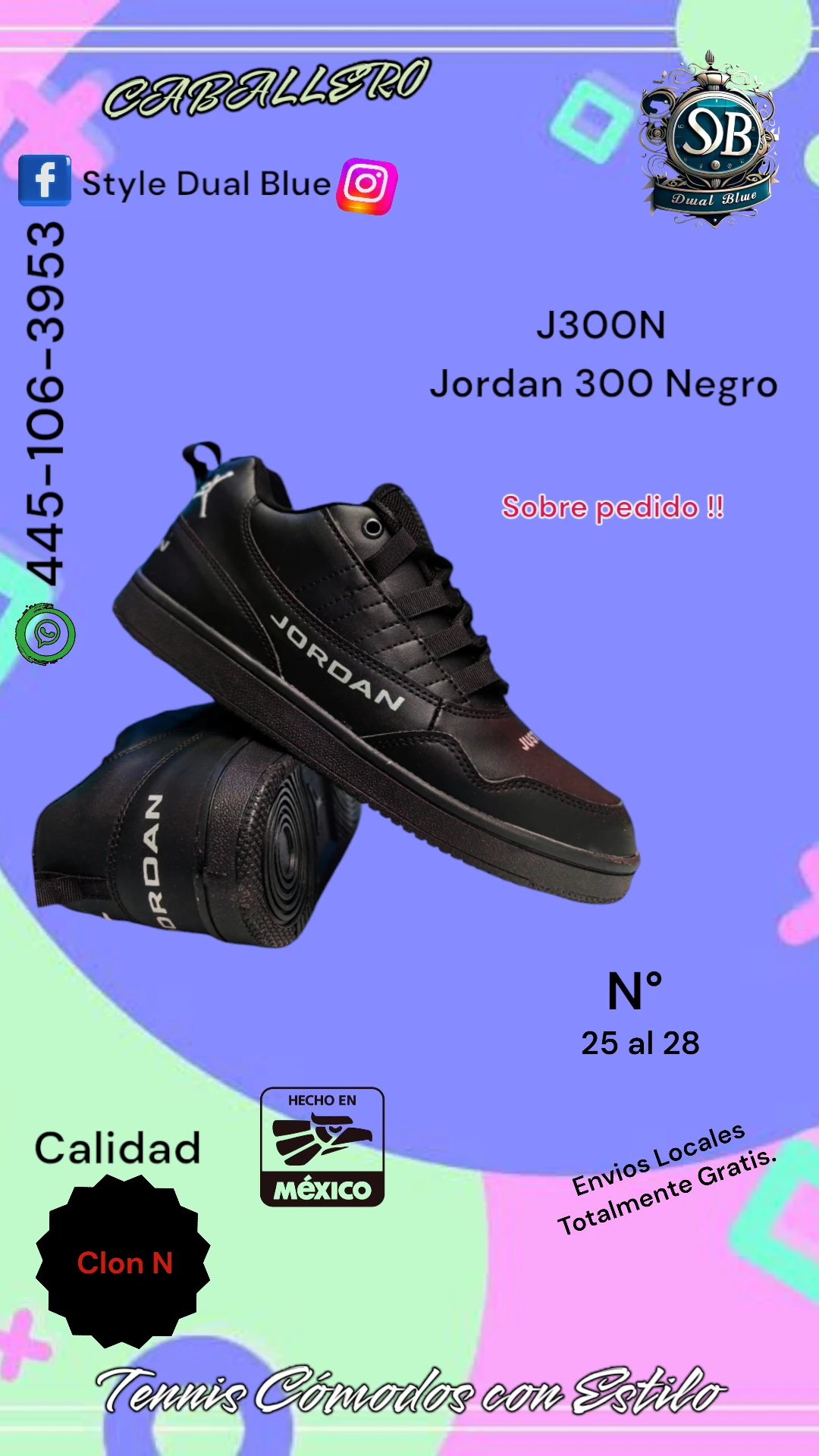 Jordan 300 Negro