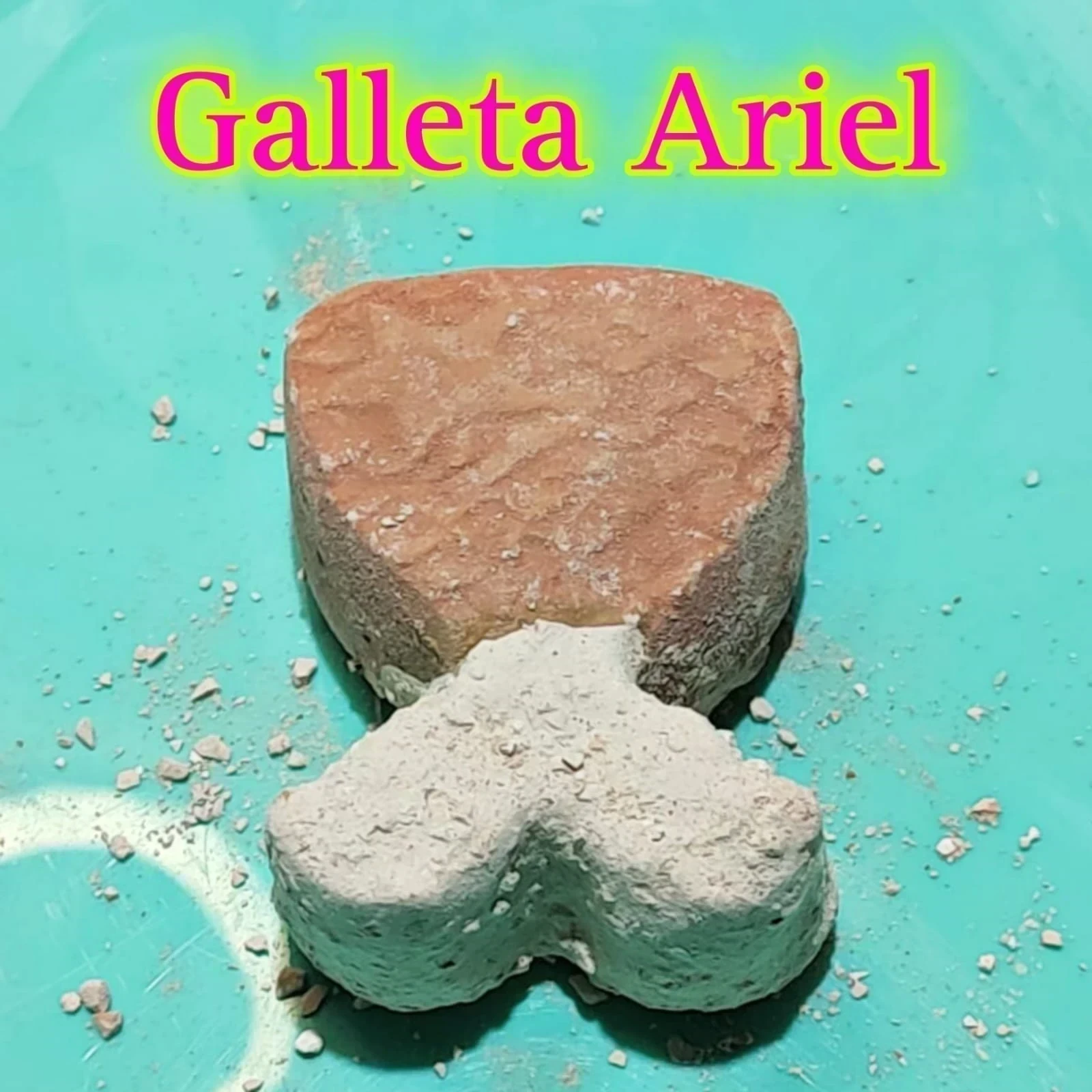Galleta Ariel
