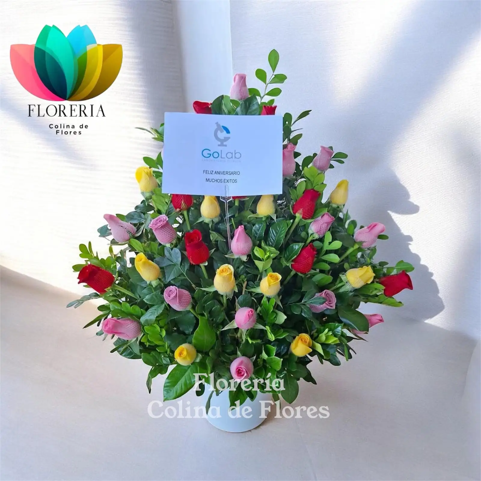 Abanico primaveral