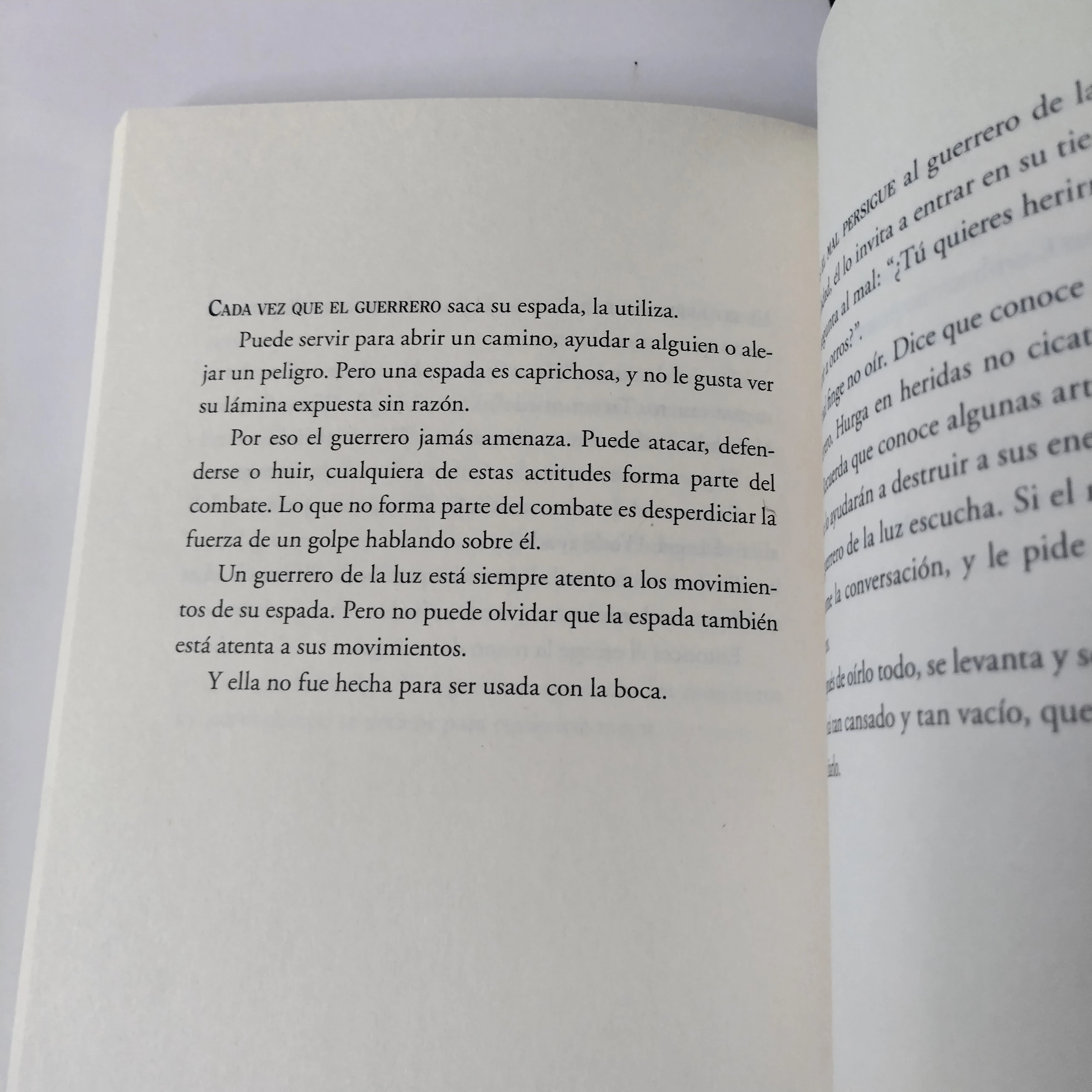 Manual del Guerrero de la luz , Paulo Coelho nuevo 3