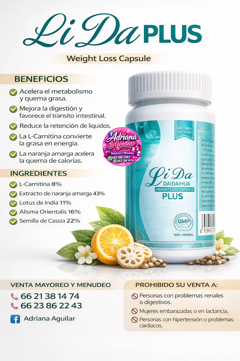 LIDA PLUS