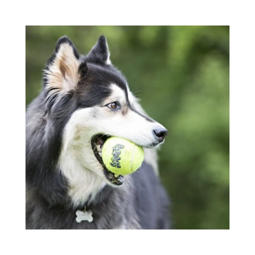 SqueakAir® Balls MEDIANO - 3pack 4