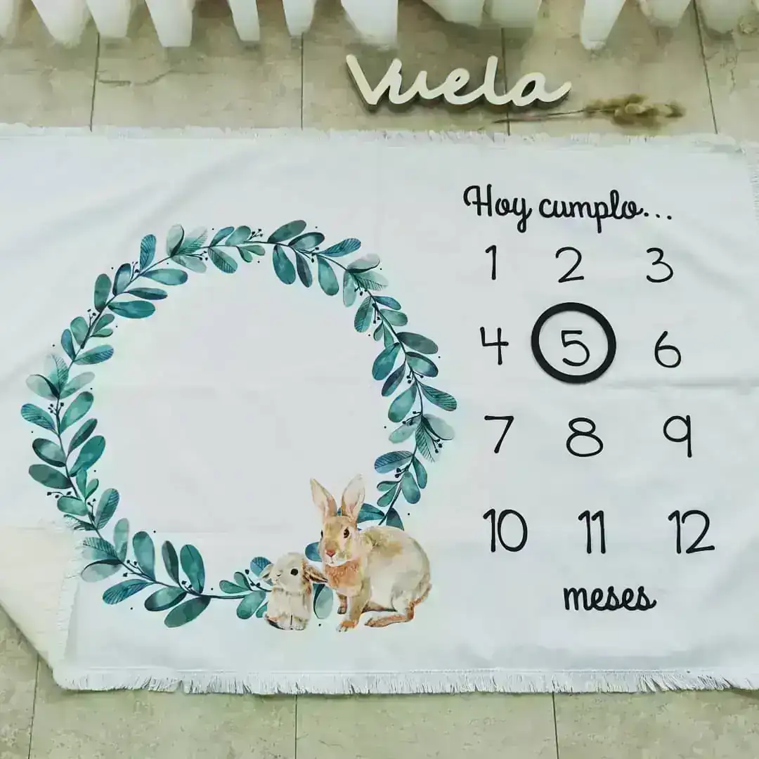 Manta conejos 2