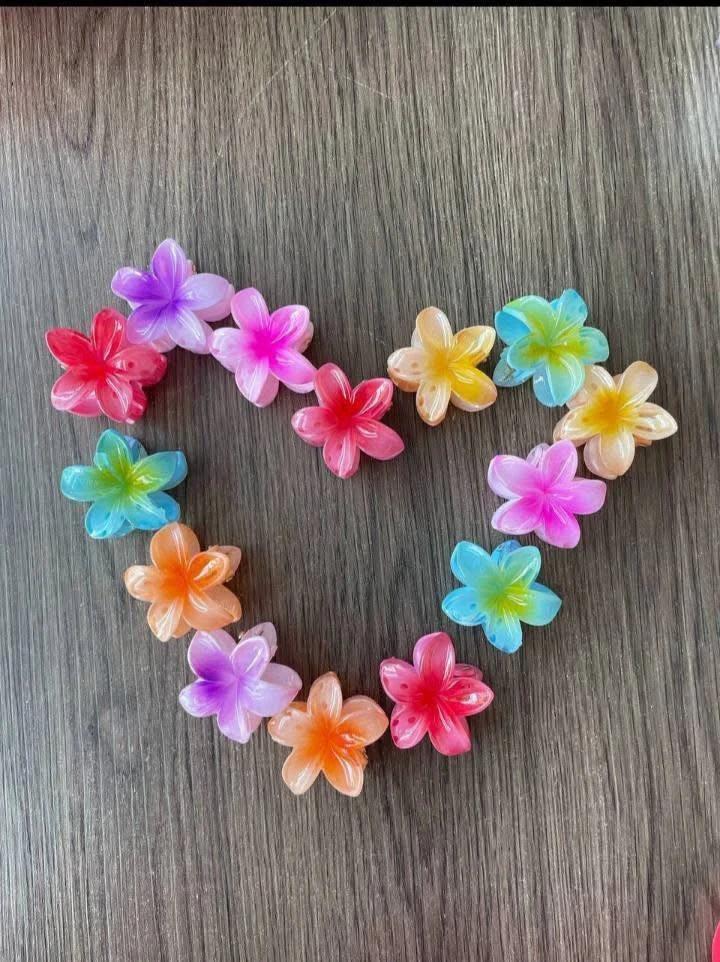🌸 MINI VINCHAS HAWAIΑΝΑ 🌸