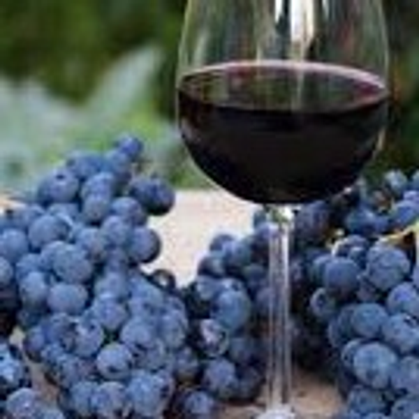 Cabernet