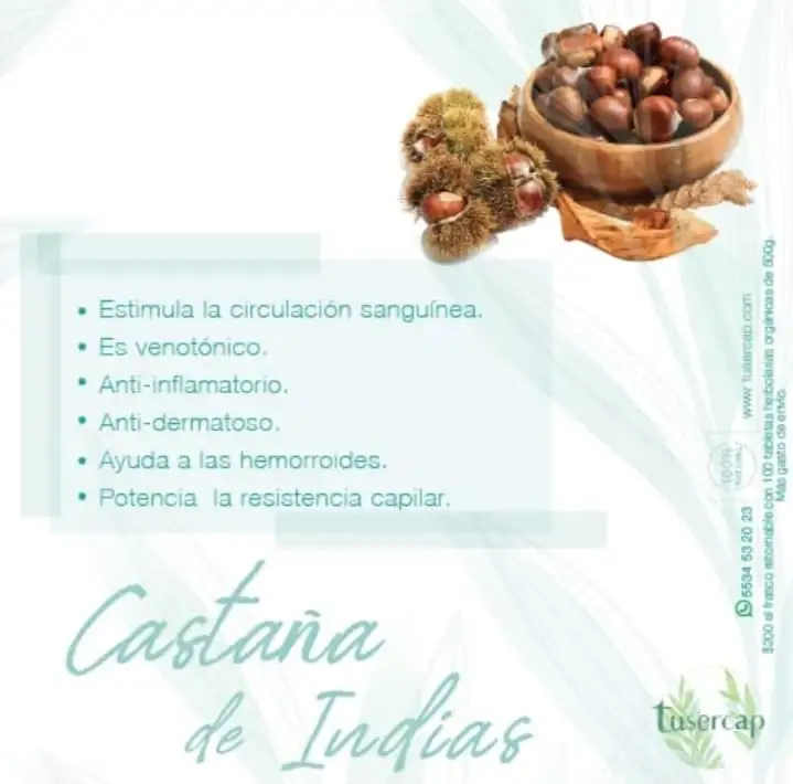 Castaña dé indias