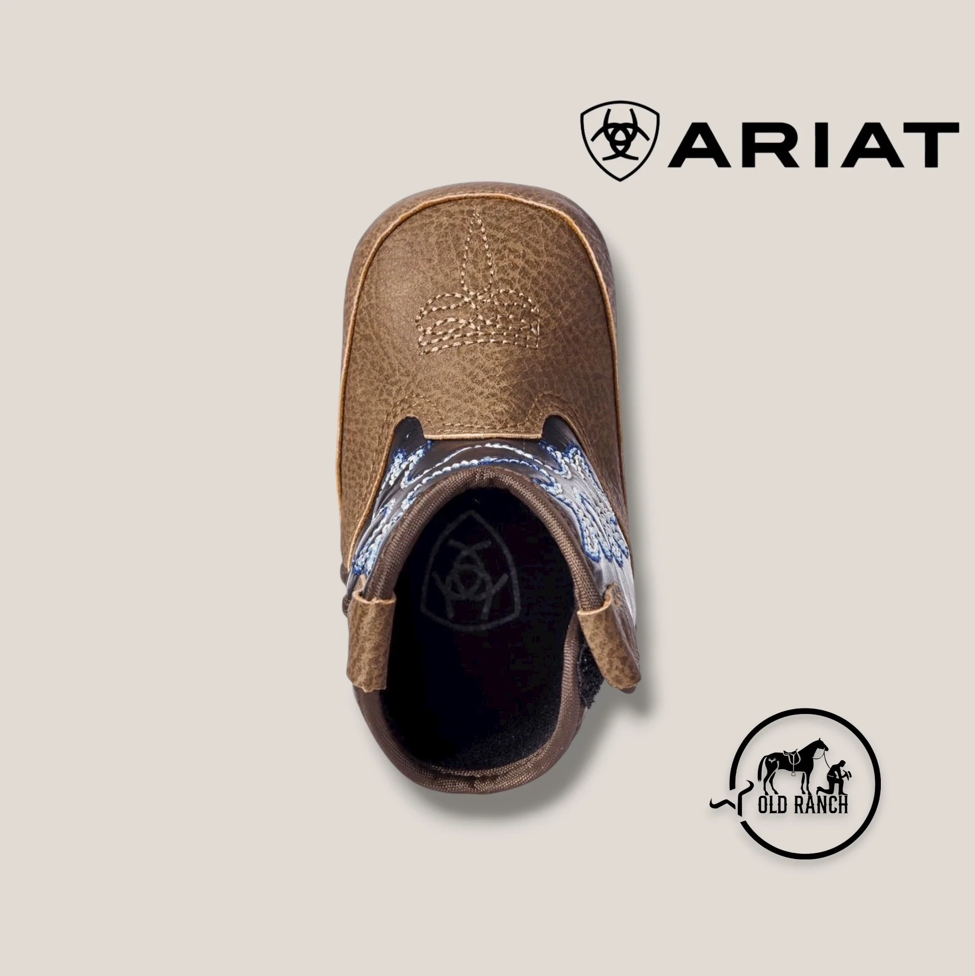 ARIAT BABY 2