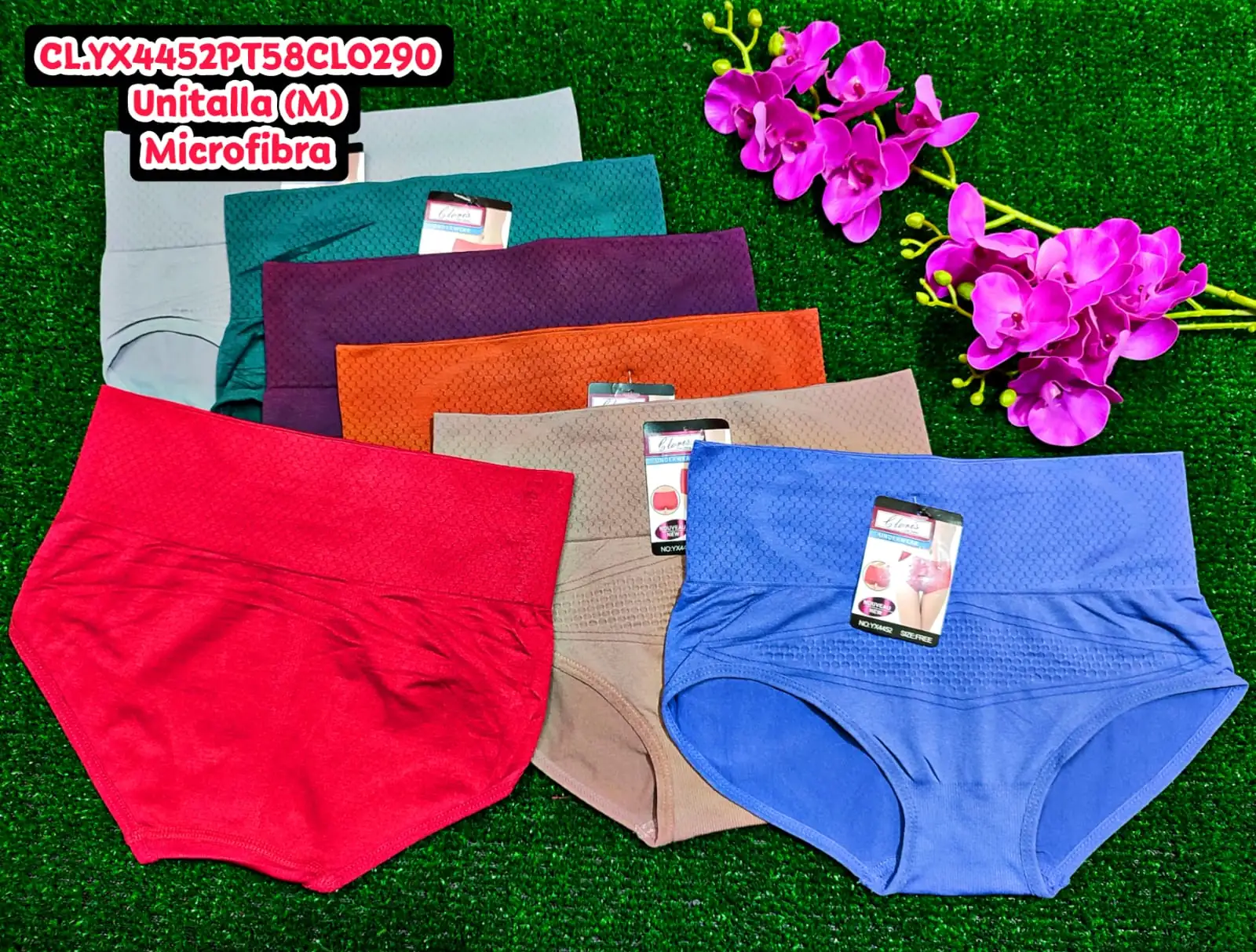 Pantaleta Microfibra 