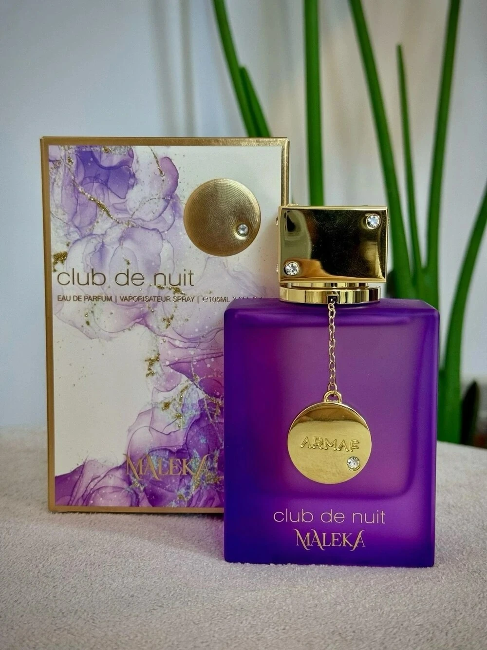 Club de Nuit Maleka 4