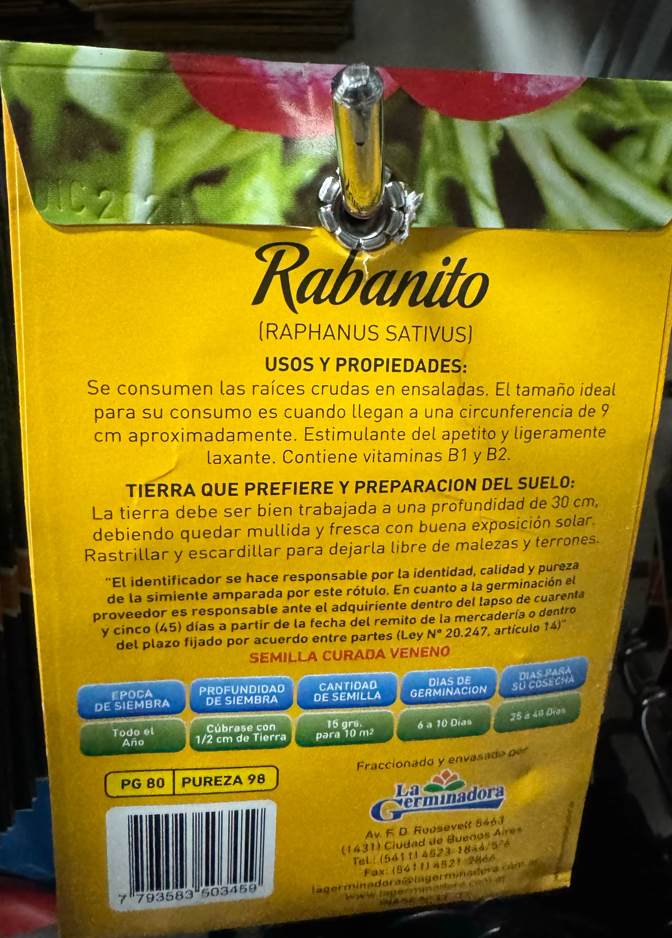 Semillas de Rabanito 2