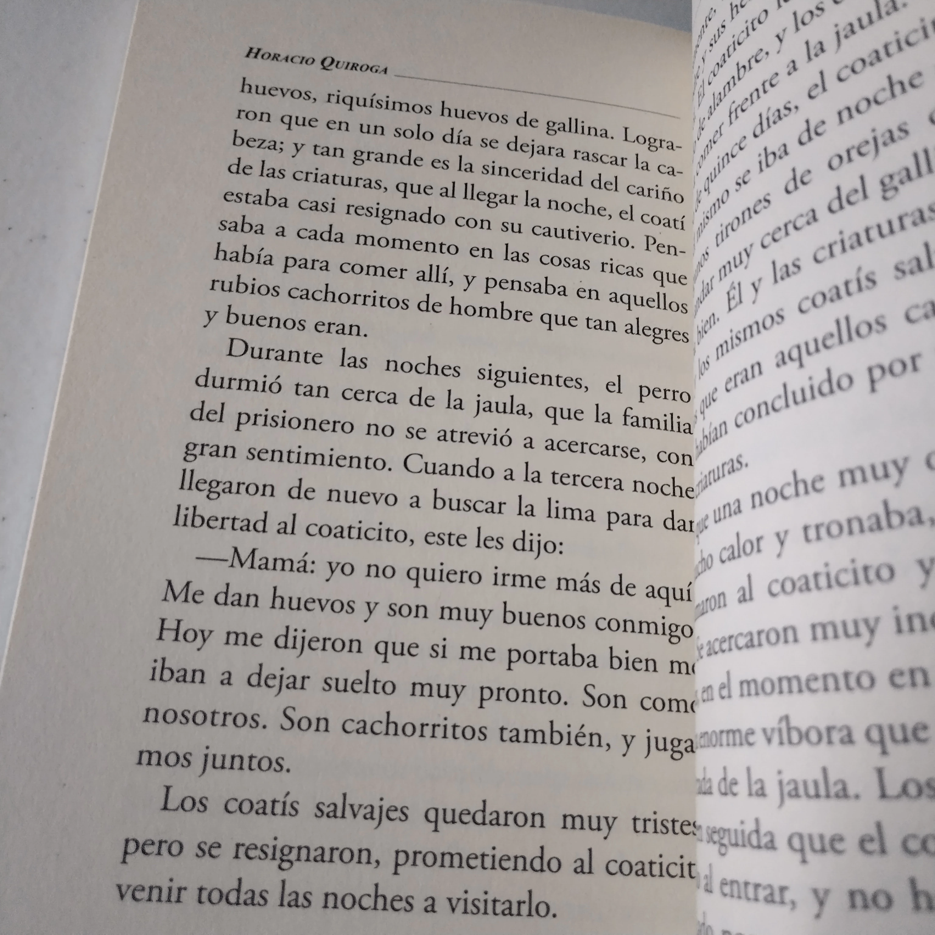 Cuentos de la selva, Horario Quiroga, nuevo  3