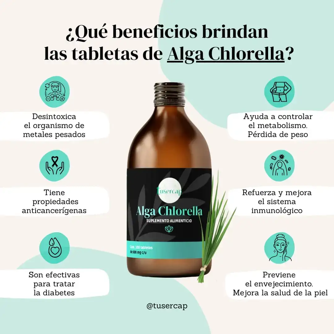 Alga Chlorella