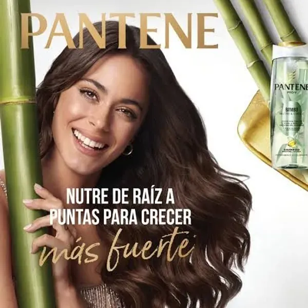 Productos Pantene