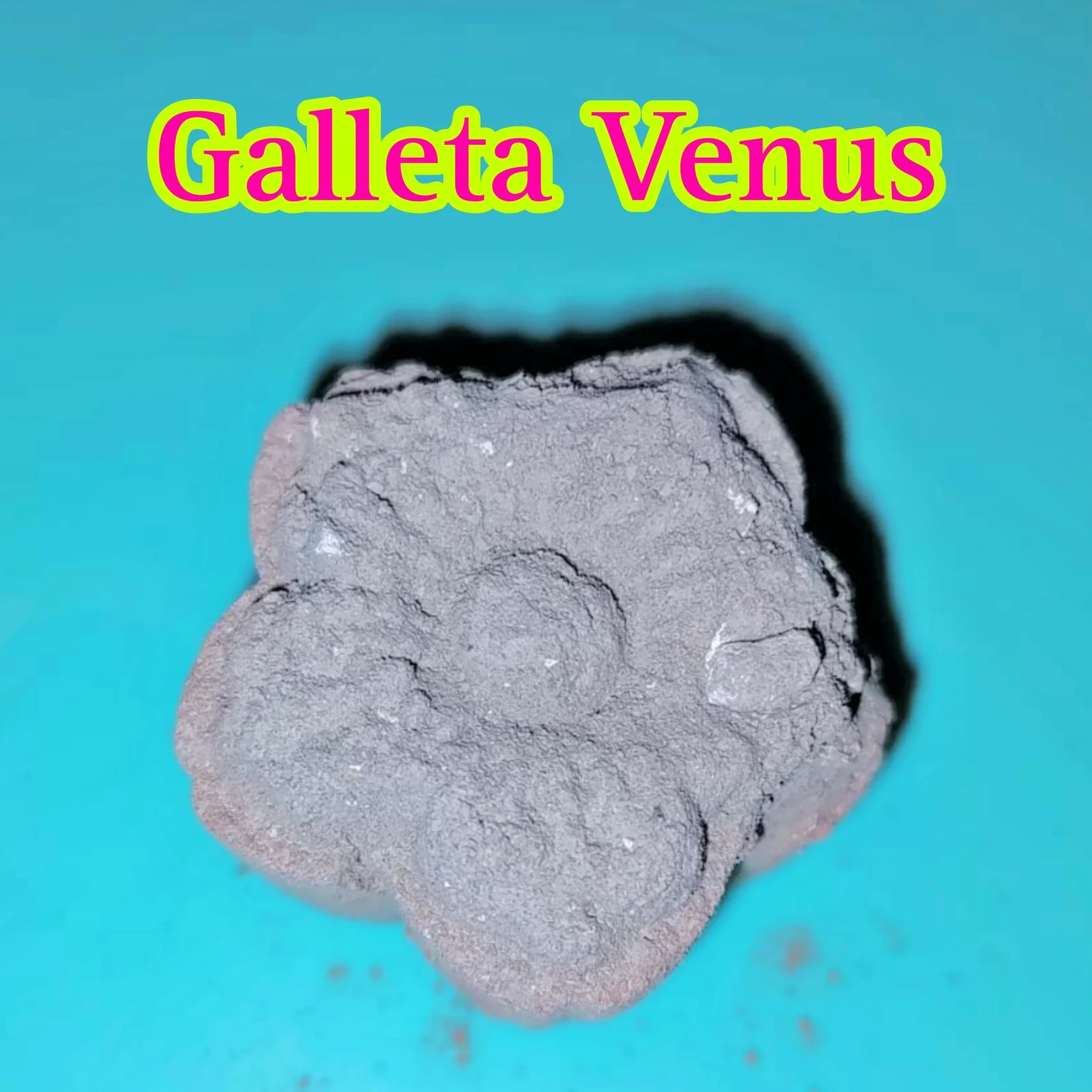 Galleta Venus