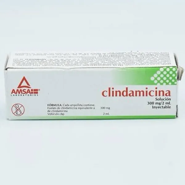Clindamicina sol. Iny 300mg/2ml