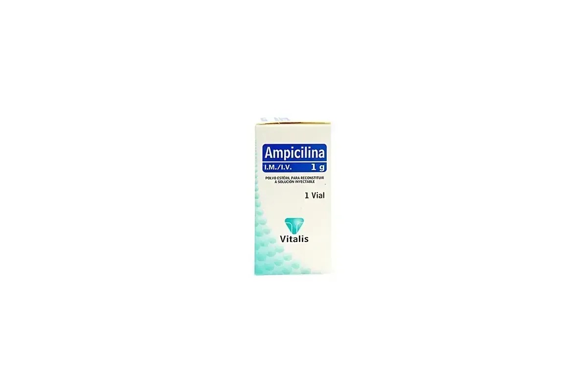 AMPICILINA 1 GR X 1 AMP VITALIS