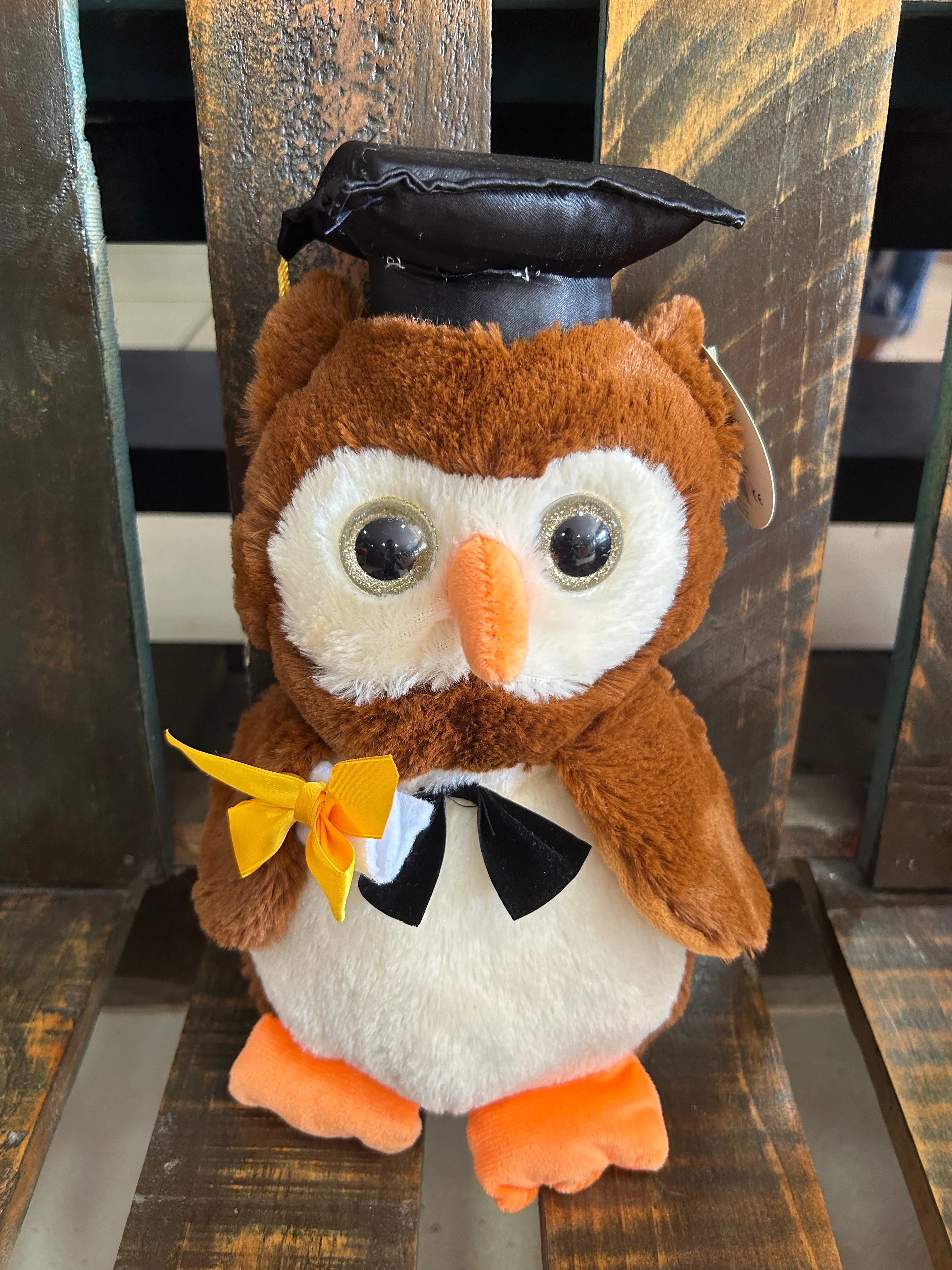 Peluche graduación 
