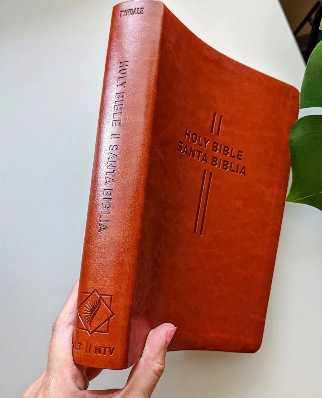 Bilingual Bible NLT/NTV Imit piel café 2