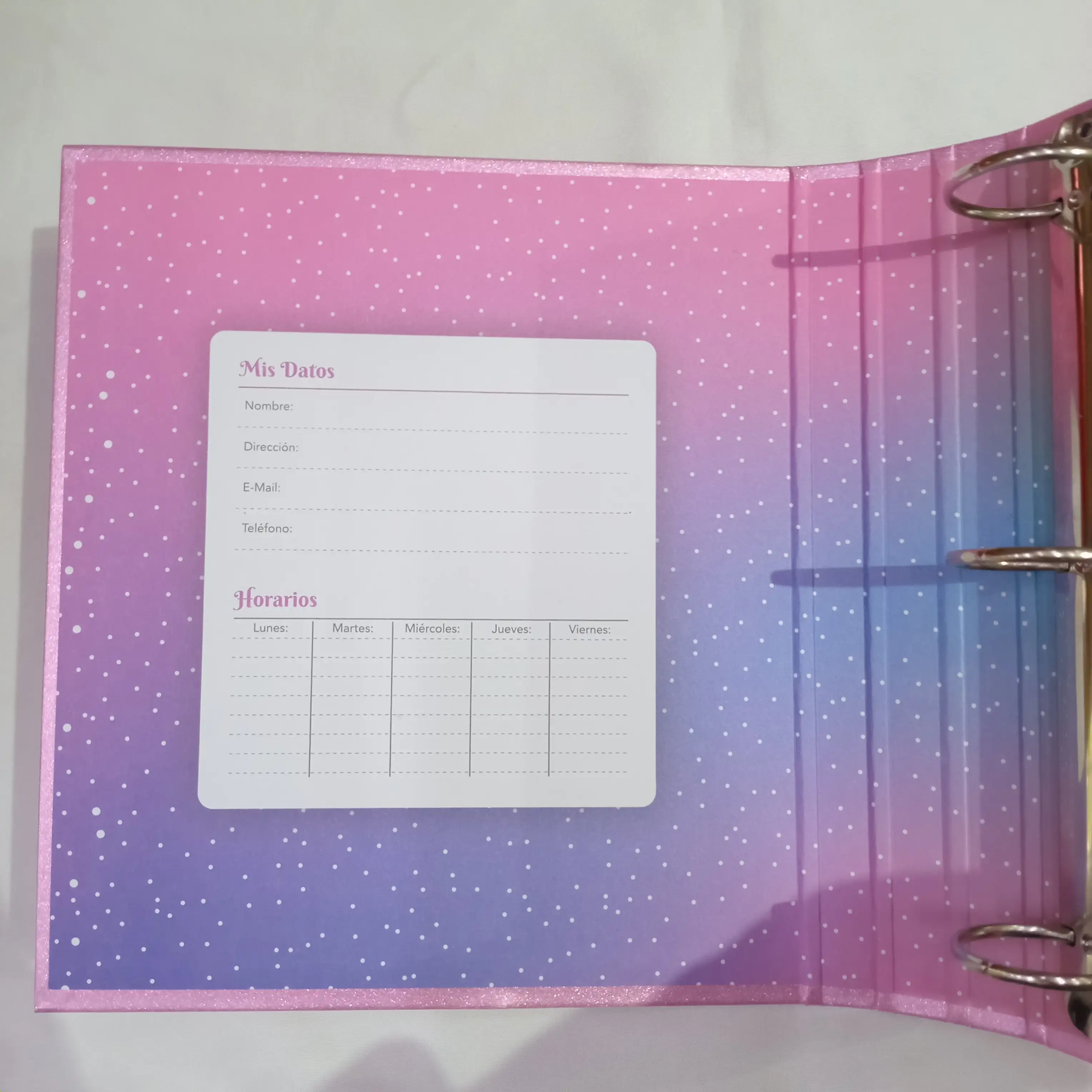Carpeta rexon con glitter  2