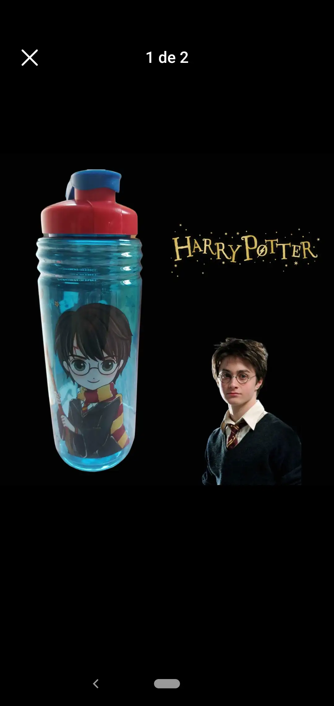 Botella harry Potter 